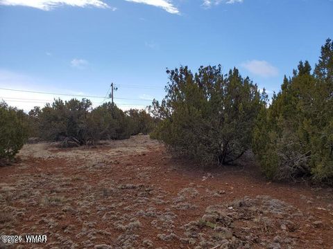 Tiny photo for 8580 Silver Creek Drive, Show Low, AZ 85901 (MLS # 260240)