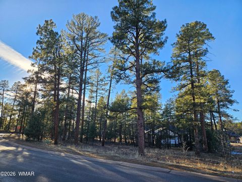 Tiny photo for 2500 S Pinegrass Road, Show Low, AZ 85901 (MLS # 259159)