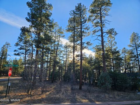 Tiny photo for 2500 S Pinegrass Road, Show Low, AZ 85901 (MLS # 259159)