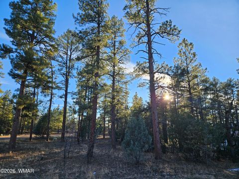 Tiny photo for 2500 S Pinegrass Road, Show Low, AZ 85901 (MLS # 259159)
