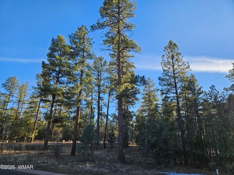 Photo of 2500 S Pinegrass Road, Show Low, AZ 85901 (MLS # 259159)