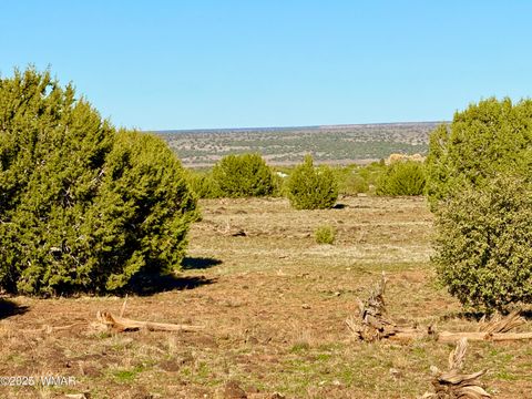 Tiny photo for TBD Mustang Ln Lot D & E 4.8 Acres, Show Low, AZ 85901 (MLS # 258682)