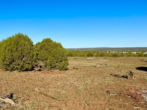 Tiny photo for TBD Mustang Ln Lot D & E 4.8 Acres, Show Low, AZ 85901 (MLS # 258682)