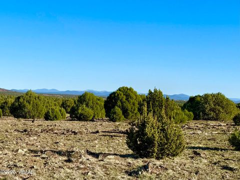 Tiny photo for TBD Mustang Ln Lot D & E 4.8 Acres, Show Low, AZ 85901 (MLS # 258682)