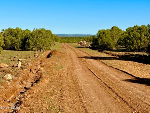 Tiny photo for TBD Mustang Ln Lot D & E 4.8 Acres, Show Low, AZ 85901 (MLS # 258682)
