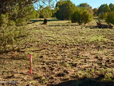 Tiny photo for TBD Mustang Ln Lot D & E 4.8 Acres, Show Low, AZ 85901 (MLS # 258682)