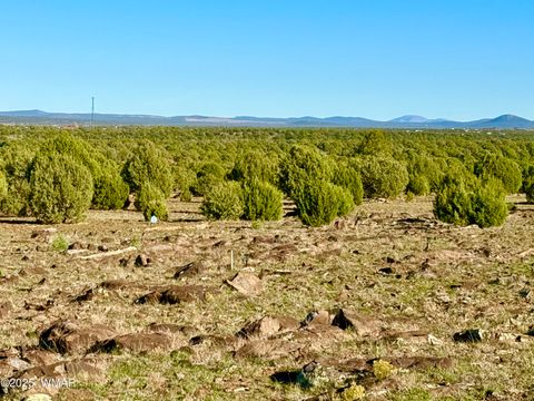 Tiny photo for TBD Mustang Ln Lot D & E 4.8 Acres, Show Low, AZ 85901 (MLS # 258682)