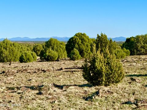 Tiny photo for TBD Mustang Ln Lot D & E 4.8 Acres, Show Low, AZ 85901 (MLS # 258682)