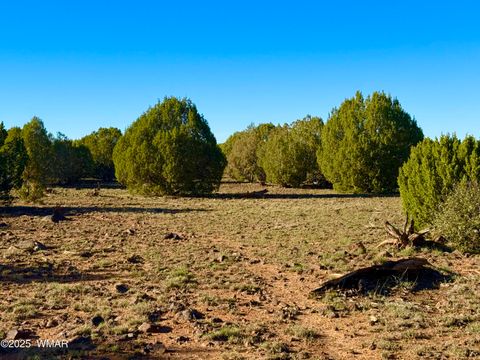 Tiny photo for TBD Mustang Ln Lot D & E 4.8 Acres, Show Low, AZ 85901 (MLS # 258682)