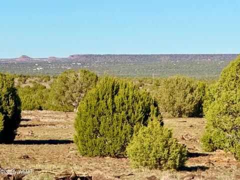 Tiny photo for TBD Mustang Ln Lot D & E 4.8 Acres, Show Low, AZ 85901 (MLS # 258682)