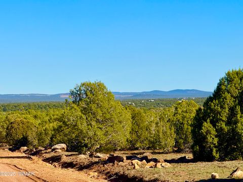 Tiny photo for TBD Mustang Ln Lot D & E 4.8 Acres, Show Low, AZ 85901 (MLS # 258682)