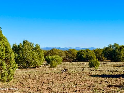 Tiny photo for TBD Mustang Ln Lot D & E 4.8 Acres, Show Low, AZ 85901 (MLS # 258682)