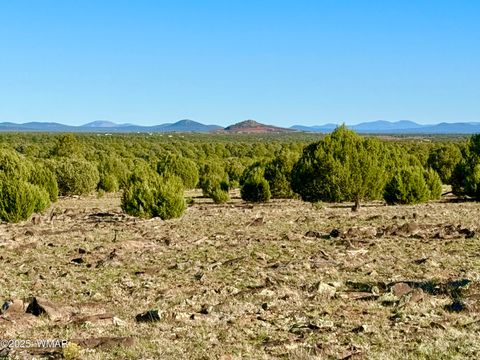 Tiny photo for TBD Mustang Ln Lot D & E 4.8 Acres, Show Low, AZ 85901 (MLS # 258682)
