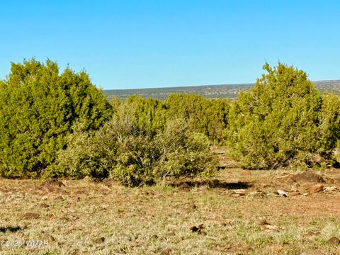 Tiny photo for TBD Mustang Ln Lot D & E 4.8 Acres, Show Low, AZ 85901 (MLS # 258682)