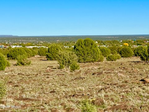 Tiny photo for TBD Mustang Ln Lot D & E 4.8 Acres, Show Low, AZ 85901 (MLS # 258682)