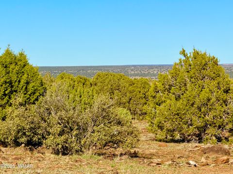 Tiny photo for TBD Mustang Ln Lot D & E 4.8 Acres, Show Low, AZ 85901 (MLS # 258682)