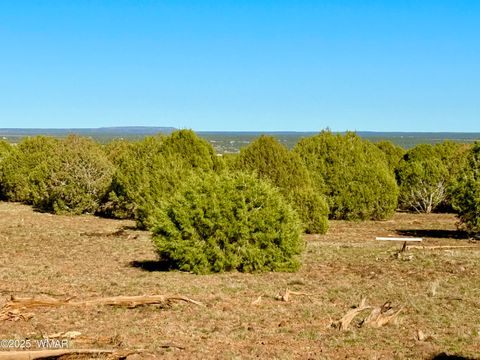 Tiny photo for TBD Mustang Ln Lot D & E 4.8 Acres, Show Low, AZ 85901 (MLS # 258682)