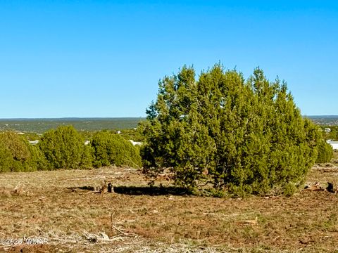 Tiny photo for TBD Mustang Ln Lot D & E 4.8 Acres, Show Low, AZ 85901 (MLS # 258682)