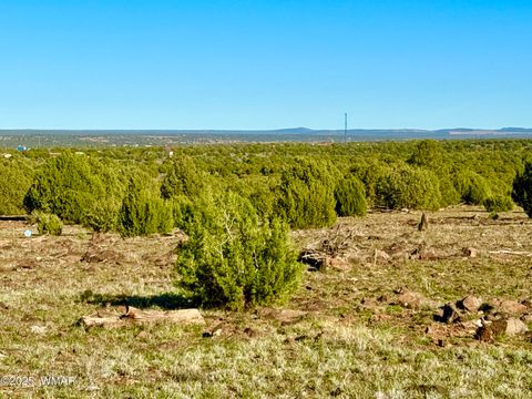 Tiny photo for TBD Mustang Ln Lot D & E 4.8 Acres, Show Low, AZ 85901 (MLS # 258682)