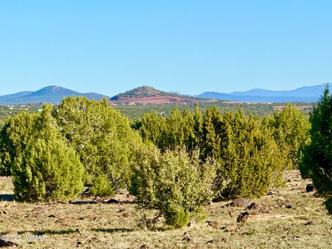Tiny photo for TBD Mustang Ln Lot D & E 4.8 Acres, Show Low, AZ 85901 (MLS # 258682)