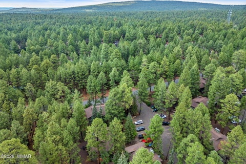 Tiny photo for 4455 Resort Loop, Pinetop, AZ 85935 (MLS # 262634)