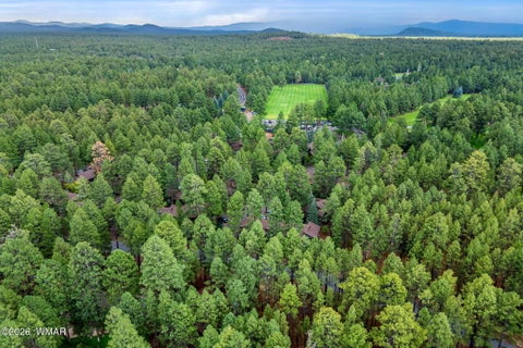 Tiny photo for 4455 Resort Loop, Pinetop, AZ 85935 (MLS # 262634)