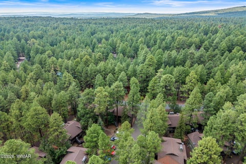 Tiny photo for 4455 Resort Loop, Pinetop, AZ 85935 (MLS # 262634)