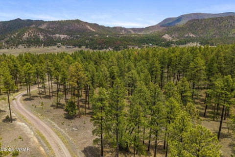 Tiny photo for 2184 N Highway 191, Nutrioso, AZ 85932 (MLS # 261214)