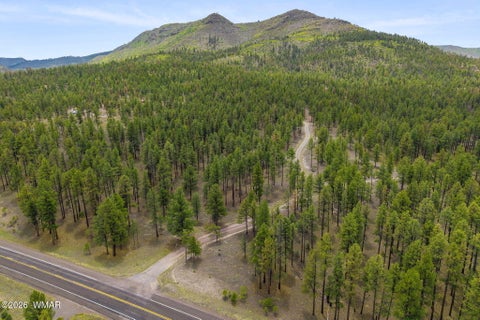 Tiny photo for 2184 N Highway 191, Nutrioso, AZ 85932 (MLS # 261214)