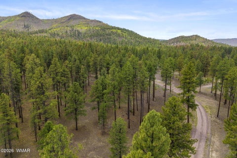 Tiny photo for 2184 N Highway 191, Nutrioso, AZ 85932 (MLS # 261214)