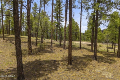 Tiny photo for 2184 N Highway 191, Nutrioso, AZ 85932 (MLS # 261214)