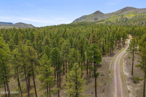 Tiny photo for 2184 N Highway 191, Nutrioso, AZ 85932 (MLS # 261214)