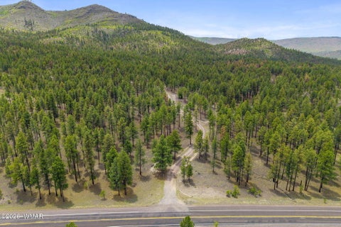 Tiny photo for 2184 N Highway 191, Nutrioso, AZ 85932 (MLS # 261214)