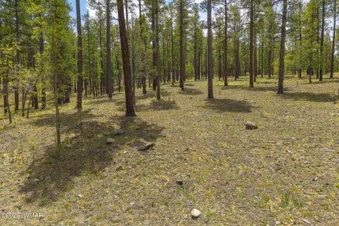 Tiny photo for 2184 N Highway 191, Nutrioso, AZ 85932 (MLS # 261214)