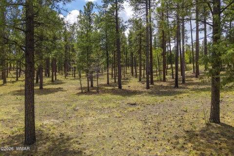 Tiny photo for 2184 N Highway 191, Nutrioso, AZ 85932 (MLS # 261214)