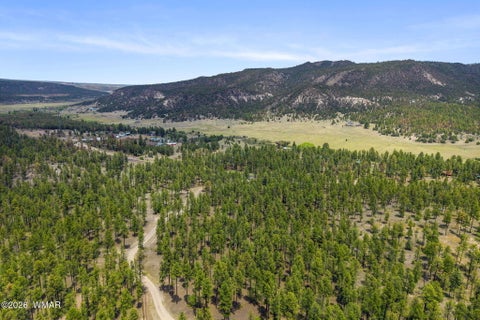 Tiny photo for 2184 N Highway 191, Nutrioso, AZ 85932 (MLS # 261214)