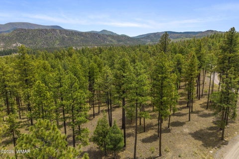 Tiny photo for 2184 N Highway 191, Nutrioso, AZ 85932 (MLS # 261214)