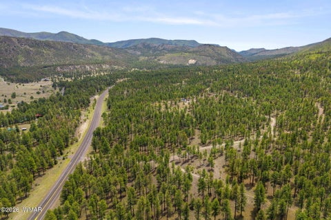 Tiny photo for 2184 N Highway 191, Nutrioso, AZ 85932 (MLS # 261214)