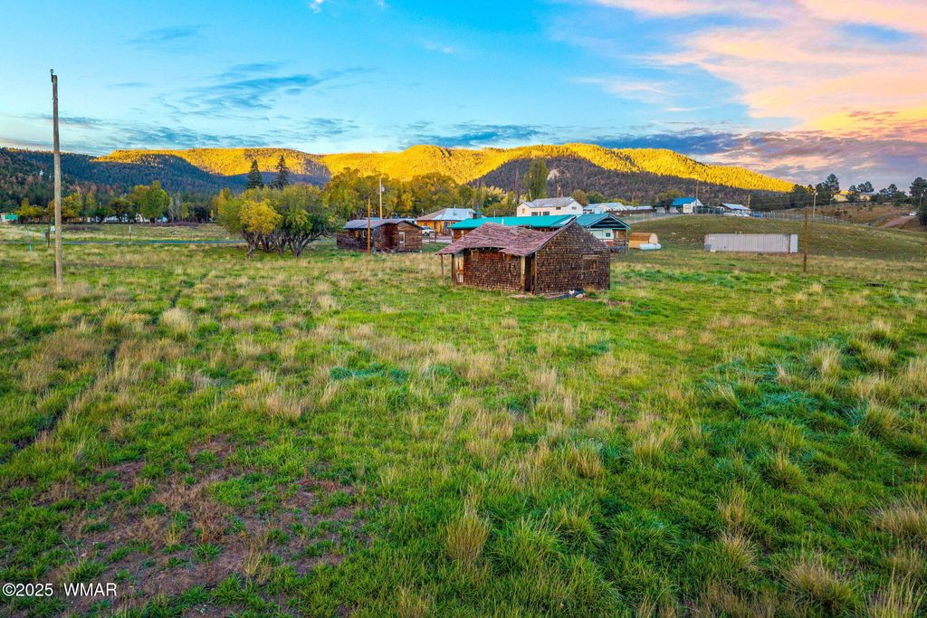 Photo for 2 Co Rd 2055, Alpine, AZ 85920 (MLS # 258377)