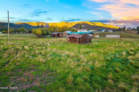 Photo of 2 Co Rd 2055, Alpine, AZ 85920 (MLS # 258377) Photo of 2 Co Rd 2055, Alpine, AZ 85920 (MLS # 258377)