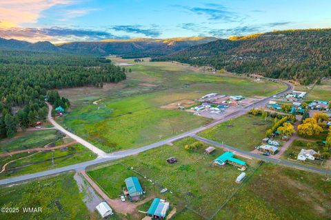 Tiny photo for 2 Co Rd 2055, Alpine, AZ 85920 (MLS # 258377)