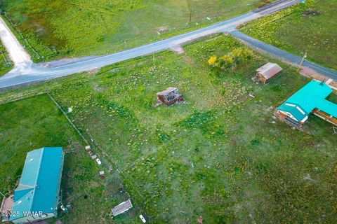 Tiny photo for 2 Co Rd 2055, Alpine, AZ 85920 (MLS # 258377)