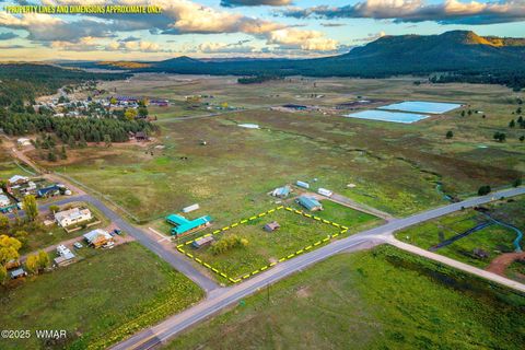 Tiny photo for 2 Co Rd 2055, Alpine, AZ 85920 (MLS # 258377)
