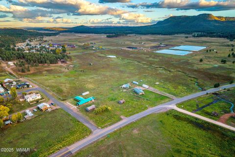 Tiny photo for 2 Co Rd 2055, Alpine, AZ 85920 (MLS # 258377)