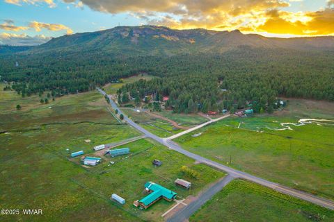Tiny photo for 2 Co Rd 2055, Alpine, AZ 85920 (MLS # 258377)