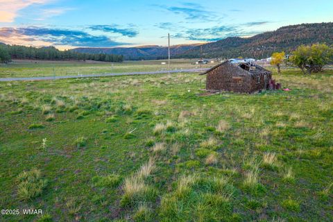 Tiny photo for 2 Co Rd 2055, Alpine, AZ 85920 (MLS # 258377)