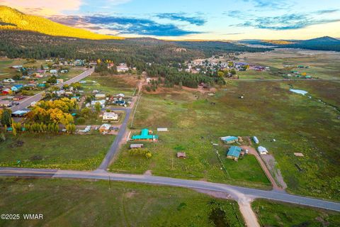 Tiny photo for 2 Co Rd 2055, Alpine, AZ 85920 (MLS # 258377)