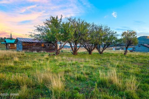 Tiny photo for 2 Co Rd 2055, Alpine, AZ 85920 (MLS # 258377)