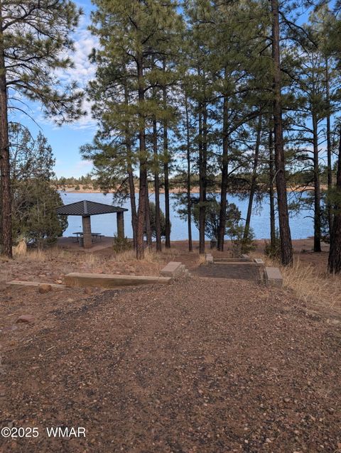 Tiny photo for 3361 W Hansen, Show Low, AZ 85901 (MLS # 259615)