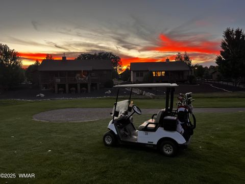 Tiny photo for 3361 W Hansen, Show Low, AZ 85901 (MLS # 259615)